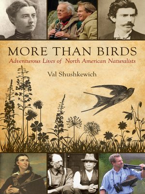 cover image of More Than Birds